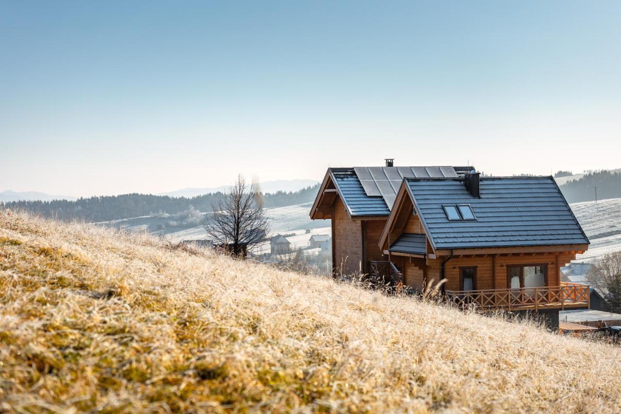 Houten Vakantiewoning "Reisnaarpolen" Royaal Ontbijt, Sauna En Hottub Czarna Góra المظهر الخارجي الصورة